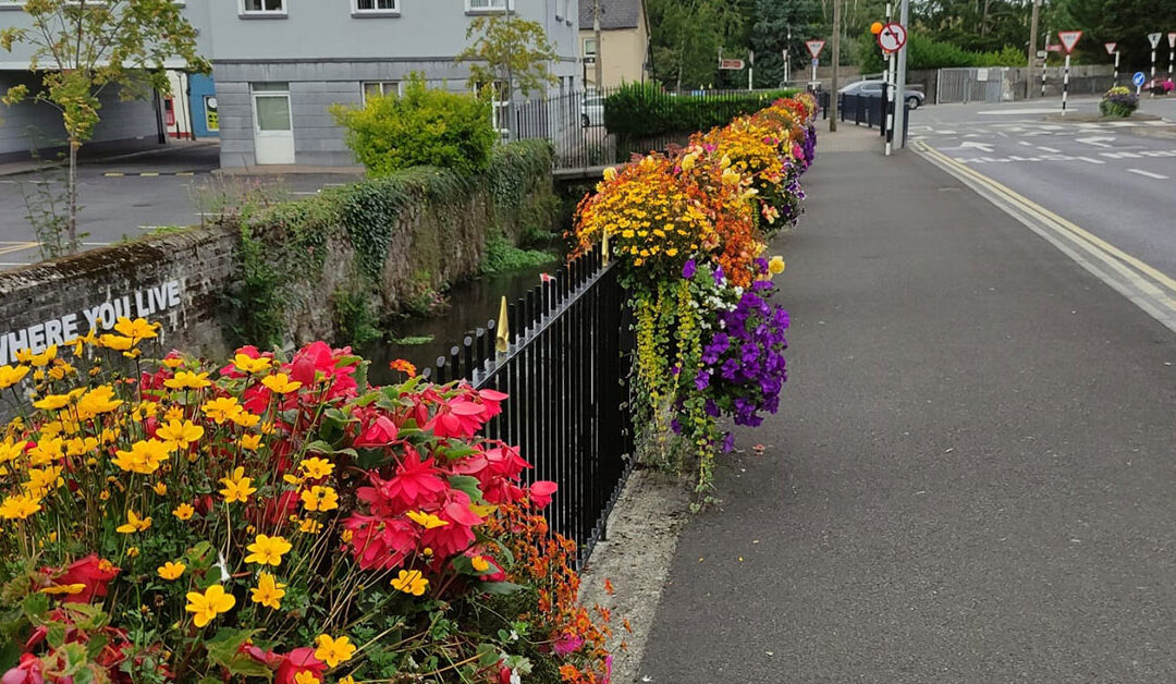 Litter survey: Portlaoise cleanest town, Dublin’s north inner city ‘a litter blackspot’