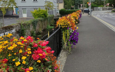 Litter survey: Portlaoise cleanest town, Dublin’s north inner city ‘a litter blackspot’