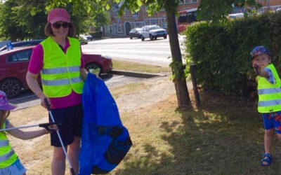 Portlaoise Tidy Towns