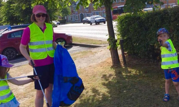 Portlaoise Tidy Towns