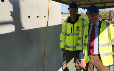 Swift boxes installed in new Portlaoise library