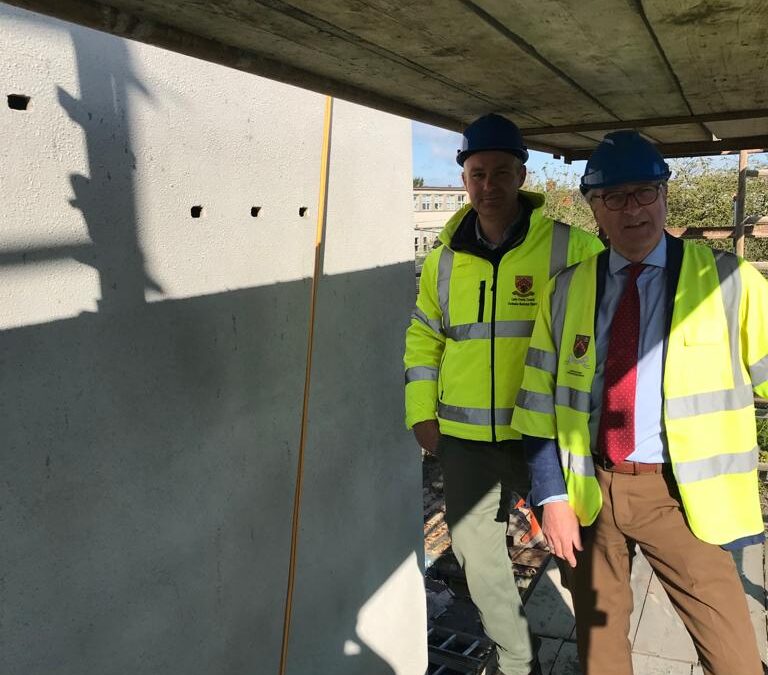 Swift boxes installed in new Portlaoise library