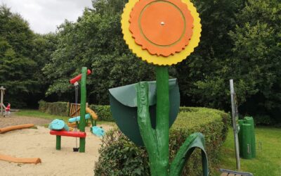 Portlaoise Men’s Shed brighten up the People’s Park