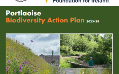 Portlaoise Biodiversty Action Plan