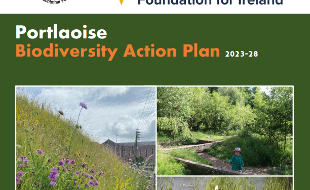 Portlaoise Biodiversty Action Plan