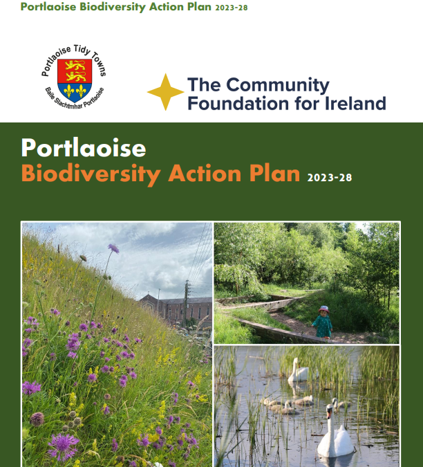 Portlaoise Biodiversty Action Plan