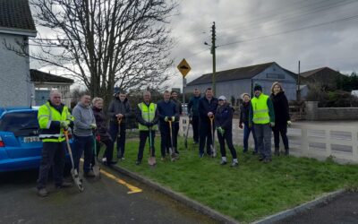 Tree Planting with Laois Partnership.