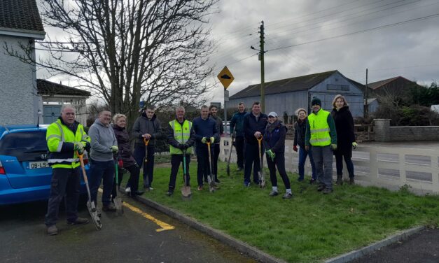 Tree Planting with Laois Partnership.